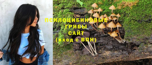 первитин Саяногорск