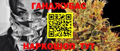 сатива Кунгур