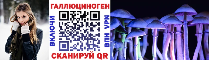 где найти наркотики  Каменка  Галлюциногенные грибы Psilocybine cubensis 