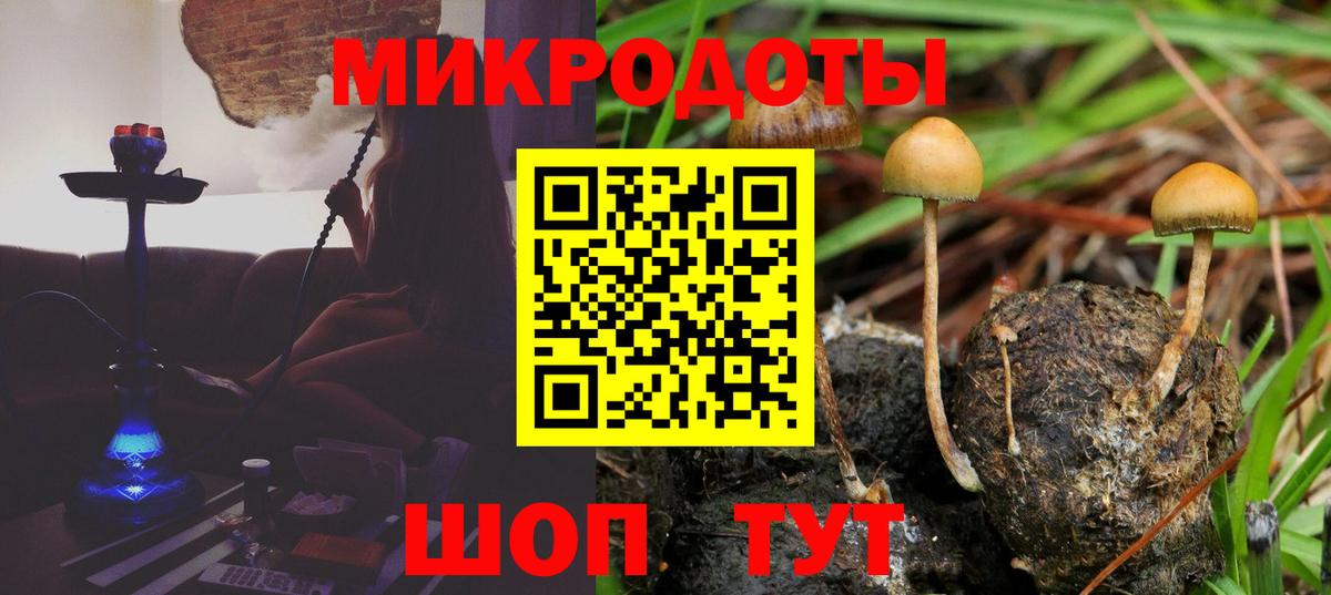 Галлюциногенные грибы MAGIC MUSHROOMS Каменка