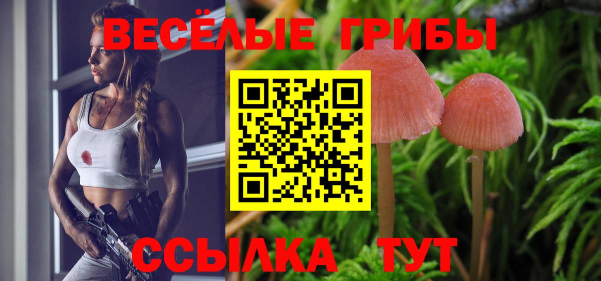 Каменка  Псилоцибиновые грибы Magic Shrooms  Вход с VPN 