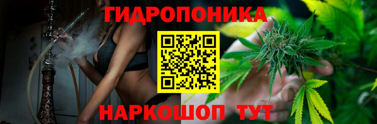 Каннабис планчик  Вход с VPN  Конопля Ganja  Каннабис конопля  Каменка 